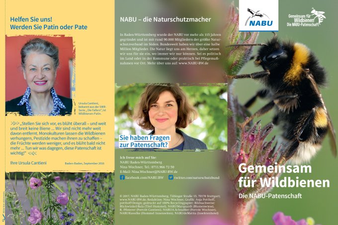 NABU-Flyer Wildbienen-Patenschaft