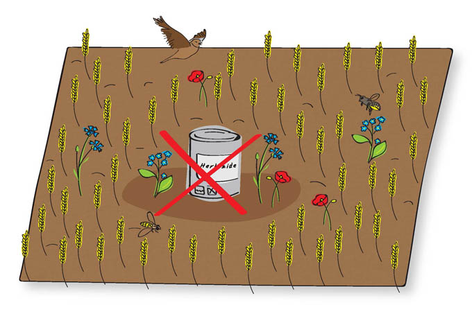 Wir fordern weniger Gift für mehr Vielfalt auf dem Acker. - Quelle: NABU BW
